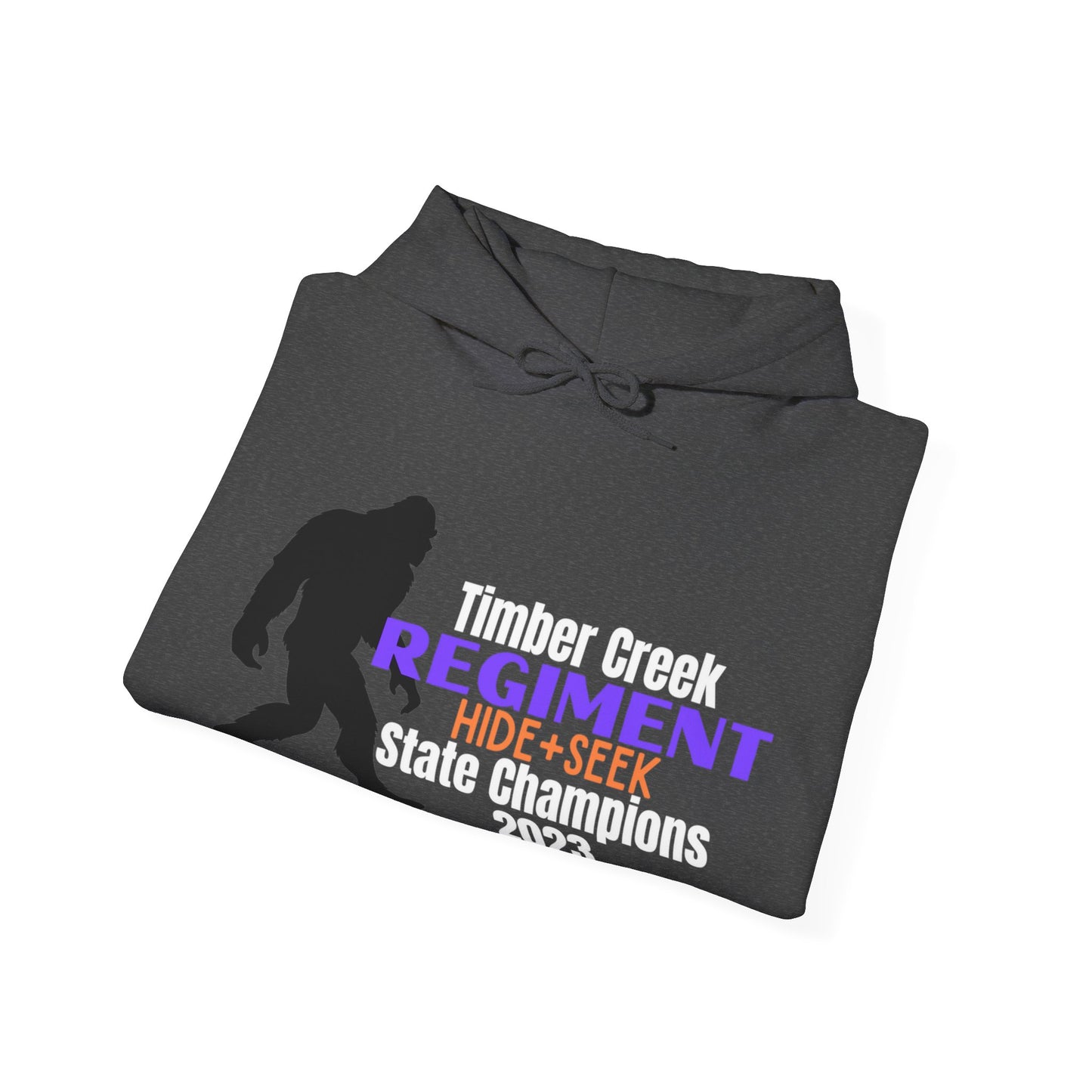 TCR State Champions 2023/Word Collage - Unisex Heavy Blend™ Hooded Sweatshirt