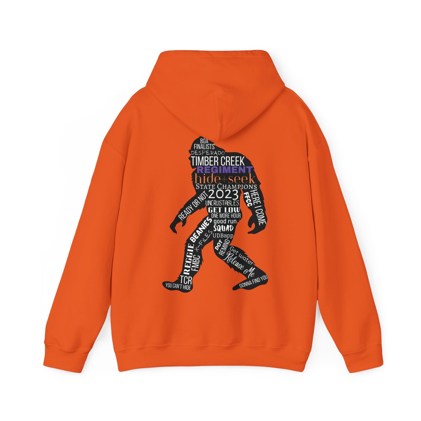 Regiment Dad/Hide and Seek Collage 2023 - Unisex Heavy Blend™ Hooded Sweatshirt
