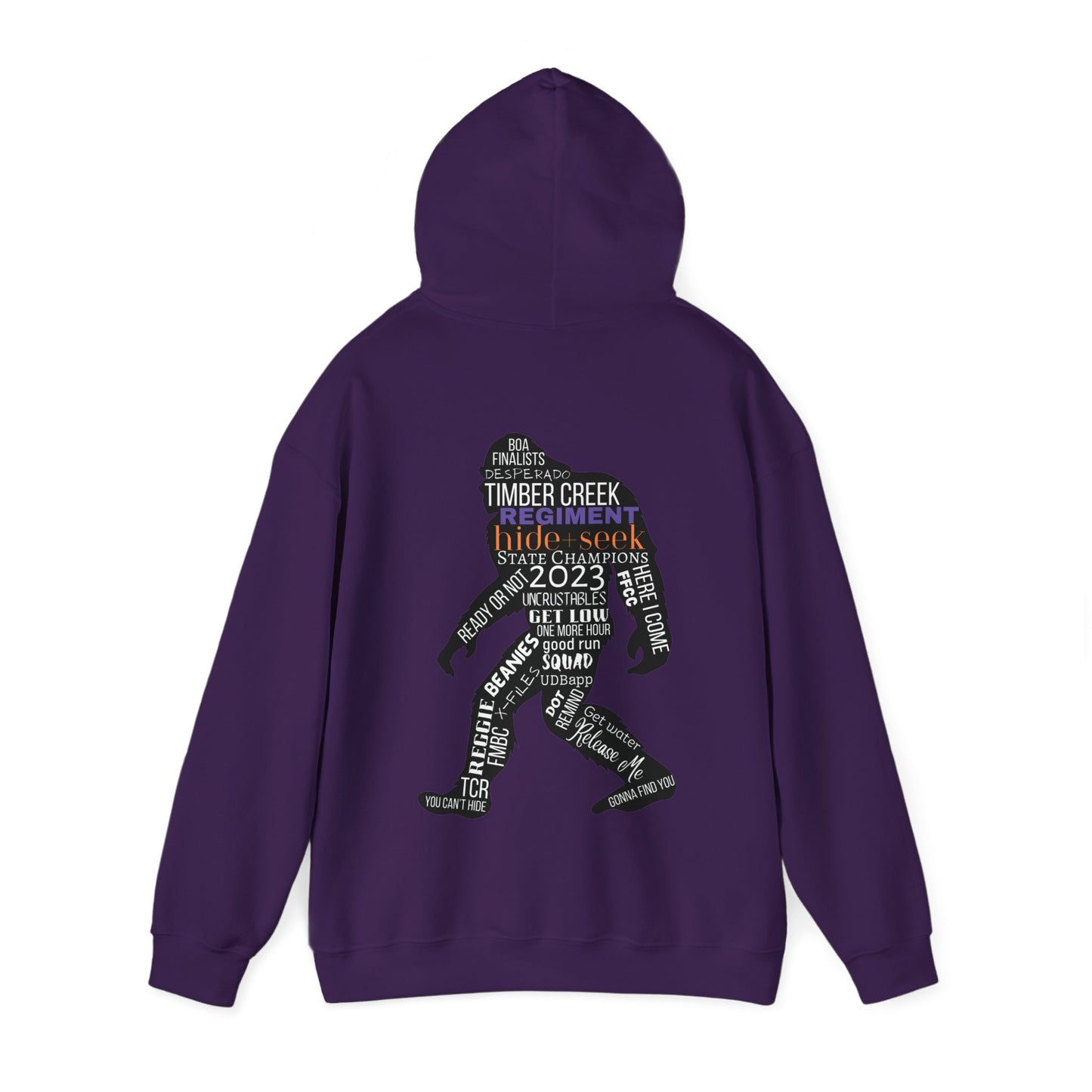 Regiment Dad/Hide and Seek Collage 2023 - Unisex Heavy Blend™ Hooded Sweatshirt