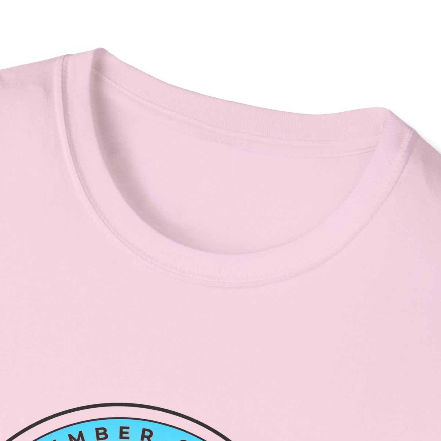 SKYFAIR FLORIDA TOUR Softstyle Unisex T-Shirt