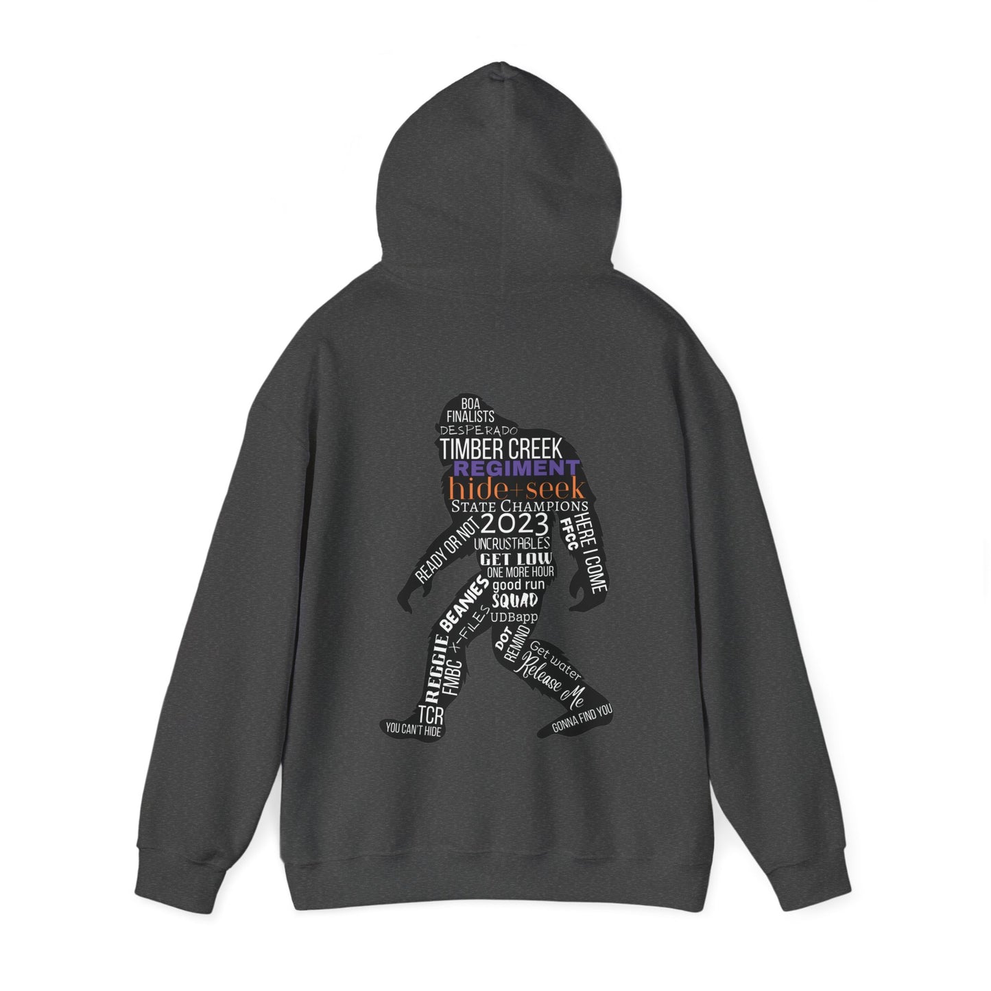 Regiment Dad/Hide and Seek Collage 2023 - Unisex Heavy Blend™ Hooded Sweatshirt