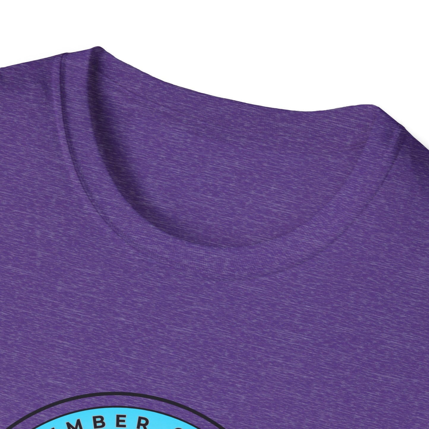 SKYFAIR FLORIDA TOUR Softstyle Unisex T-Shirt