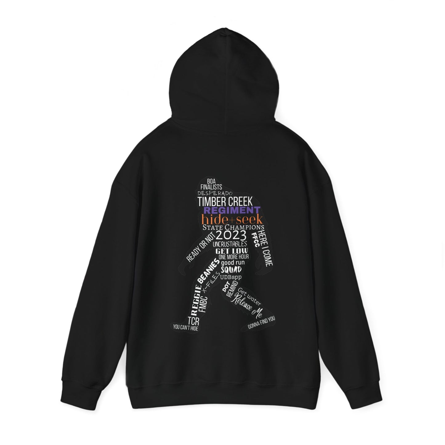 Regiment Dad/Hide and Seek Collage 2023 - Unisex Heavy Blend™ Hooded Sweatshirt